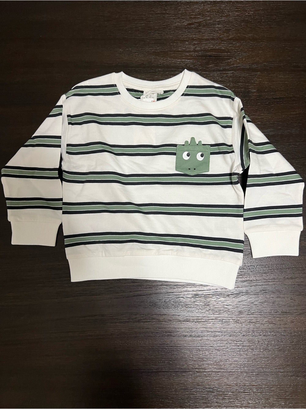 Dinosaur pocket sweater- NWT